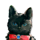 Miss.Christine05.png