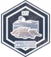 “夜晚荒漠上的鳞群”.png