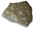 Rogue6 relic legacy 120.png