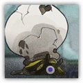 盗壳虫.png