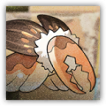 巨锹虫.png
