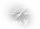 Icon equip d bea-y.png