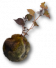 Rogue6 scrap G 08.png