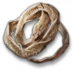 Rogue6 relic fight 19.png