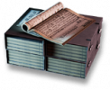 Rogue5 relic bullet 3.png