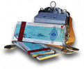 Rogue5 relic legacy 84.png