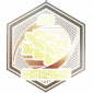 弧光合约奖章·II.png