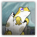 碎壳螈.png