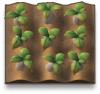 1vhalfidle polt lhpad.png
