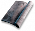 Rogue5 relic bullet 4.png