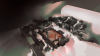 Pic rogue 5 26.png