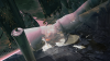 Pic rogue 5 56.png