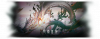 Rogue5 end2.png