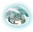 Rogue6 start 1.png