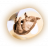 Rogue6 legacy 02.png