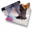 Rogue5 relic final 4.png