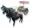 Rogue5 relic richg 4.png