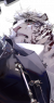 时装商店 char 264 f12yin boc-3.png