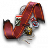 Rogue6 relic legacy 100.png