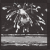 Acticon 44side informant newsSprite 1.png
