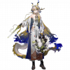 Dla img avg 2025 shu 1$1.png