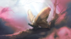 Pic rogue 5 32.png