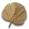 Rogue1 relic n11.png