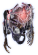 Rogue6 scrap M 06.png