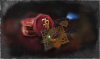 Rogue4 enroll 1 06.png