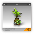 热带植物盆栽.png