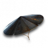 Rogue1 relic q34.png