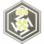 弧光阵地奖章.png