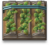 1vhalfidle polt lhpad2.png