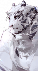 时装商店 char 264 f12yin epoque-15.png