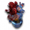 Rogue1 relic a29.png