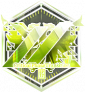 异变终结奖章.png