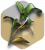 Sandbox1 dragon.png