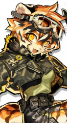 时装商店 char 243 waaifu whirlwind-2.png