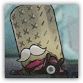 横纲盗壳虫.png