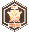 “小队的盾牌”.png