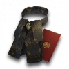 Rogue1 relic m19.png