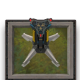 Trap 信号基站.png