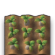 Trap 田地.png