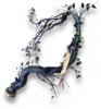 Rogue5 relic legacy 79.png