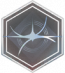 “残酷的奇迹”.png