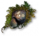 Rogue6 scrap G 11.png
