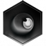 “迷梦时节”.png