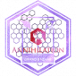 大巴扎行动奖章.png