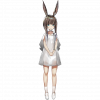 Dla img avg npc 1295 1$1.png