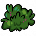 图标 松散苔藓.png